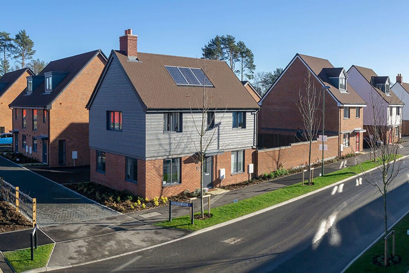 Bordon - CGI