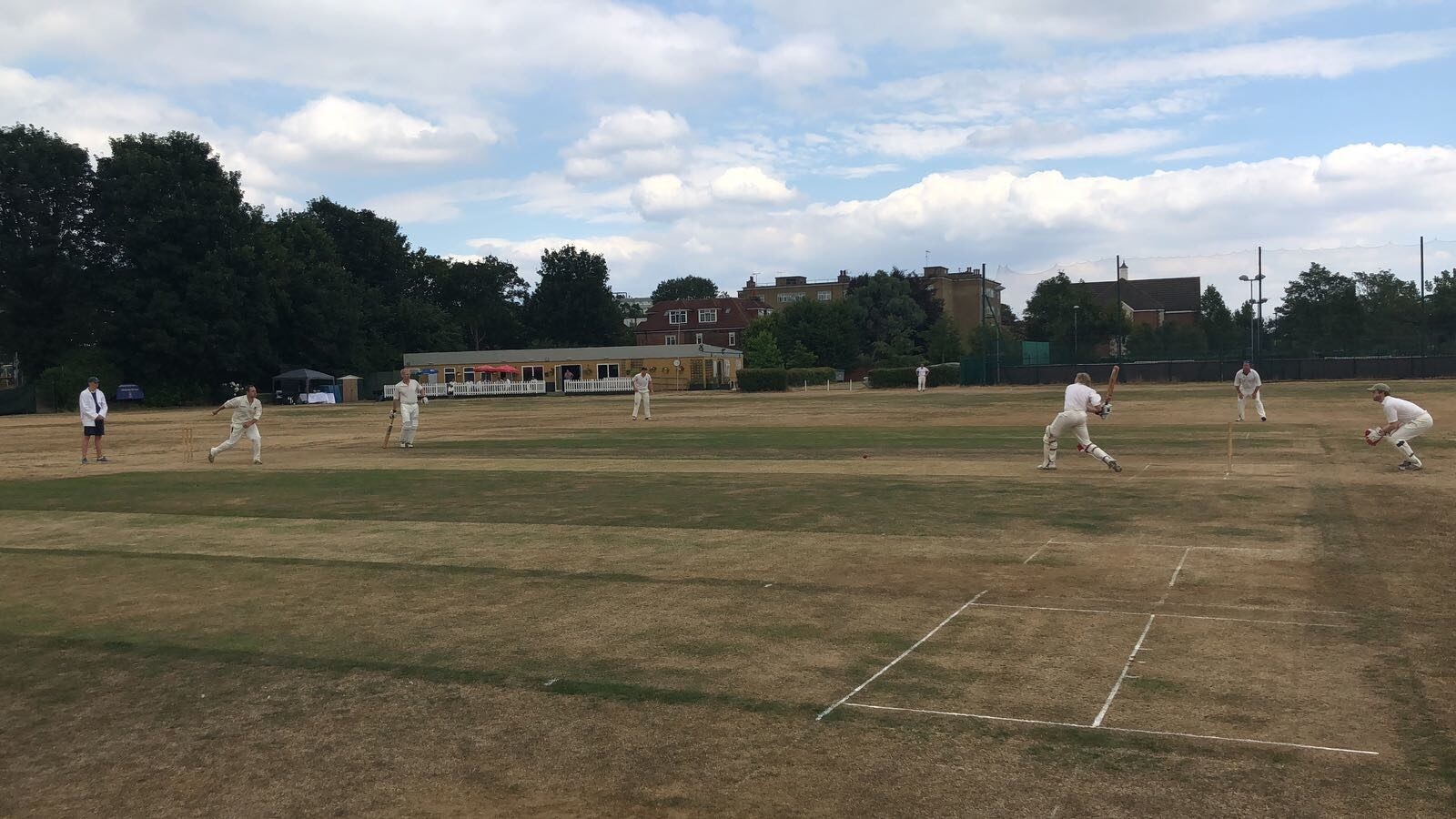 Image for Palmer Capital held their annual cricket match
