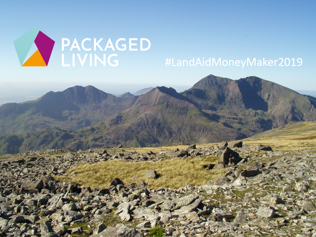 Image for Packaged Living are the first team in the LandAid Money Maker Challenge 2019