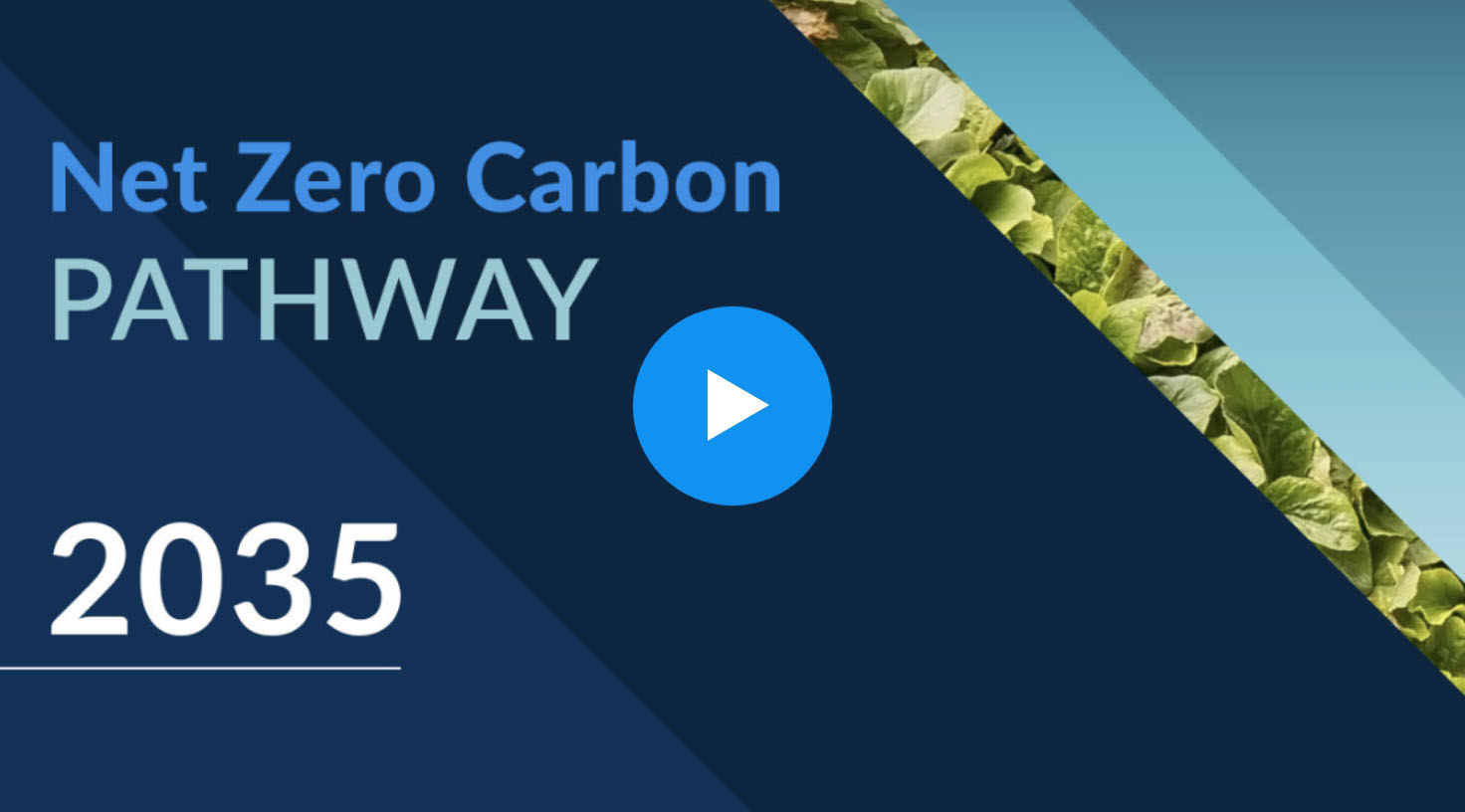 Net Zero Carbon Pathway  2035&nbsp;Video