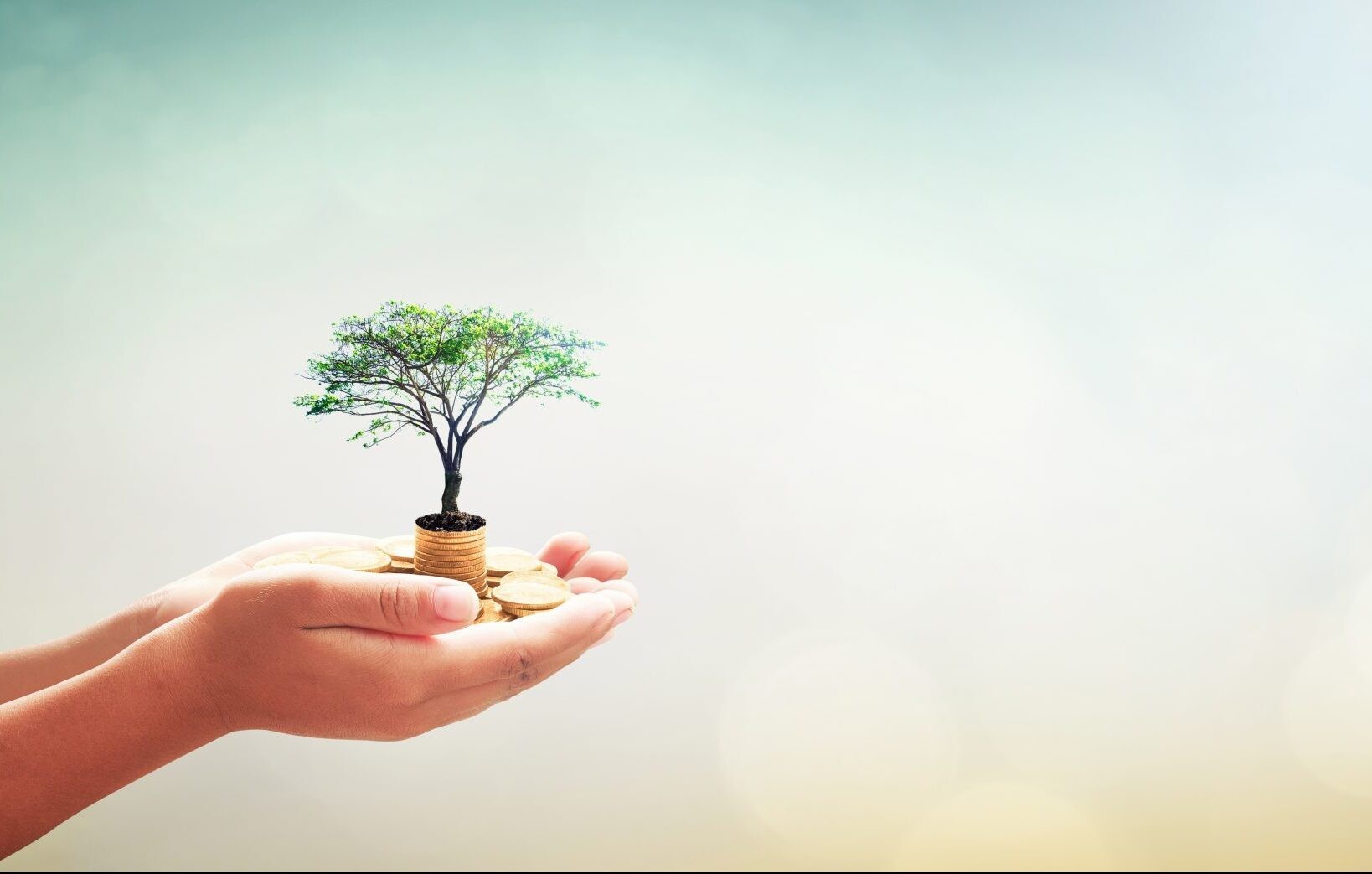 Fiera&nbsp;Real&nbsp;Estate UK ESG Brochure