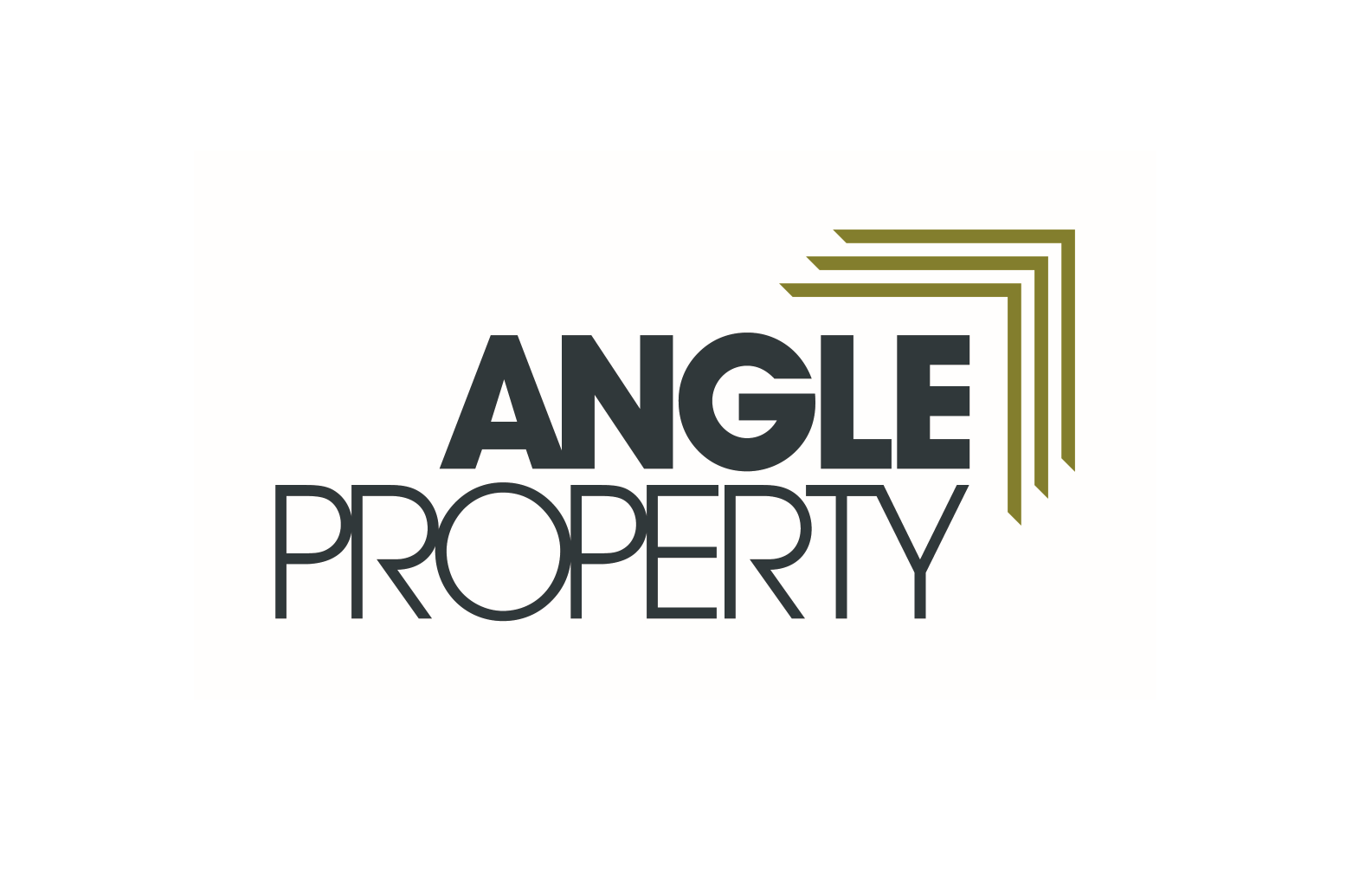 Image for Angle Property are expanding and looking for a Director of Planning & Development